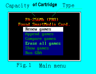 gameboy advance flash cartridge